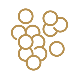 Micropellets